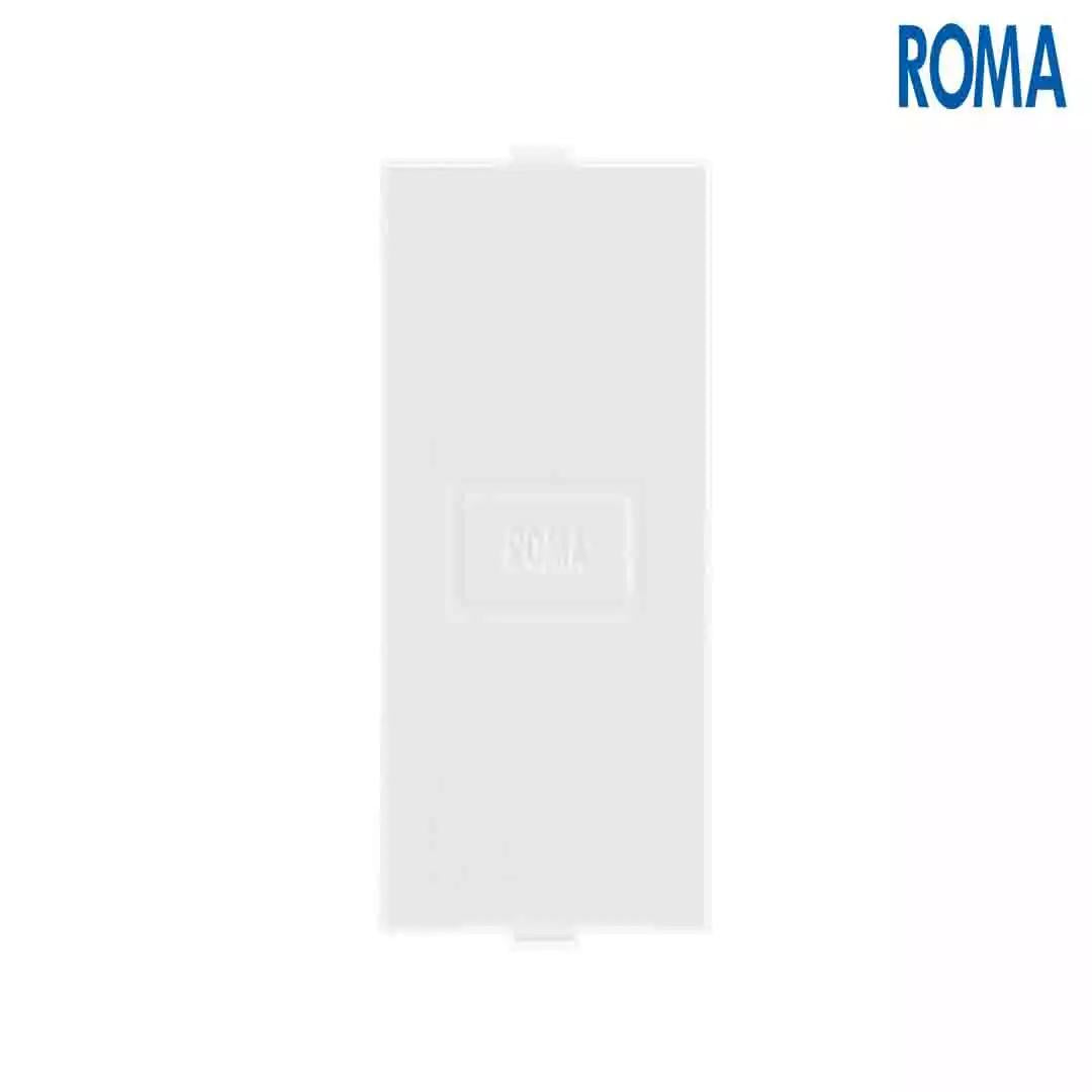 Anchor Panasonic Roma Classic Blank Plate Single