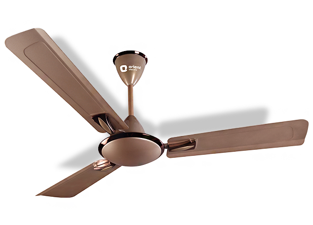 Orient Gratia Designer fans Metalic Ivory-Matt Bronze 1200 mm