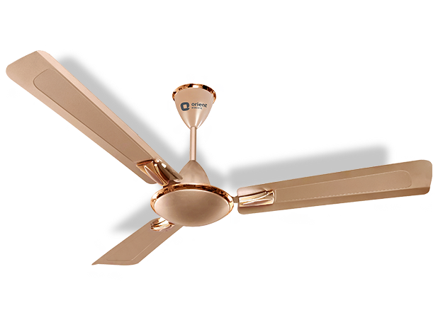 Orient Gratia Designer fans Topaz Gold 1200 mm